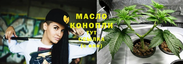 spice Карпинск