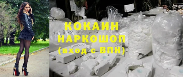 spice Карпинск